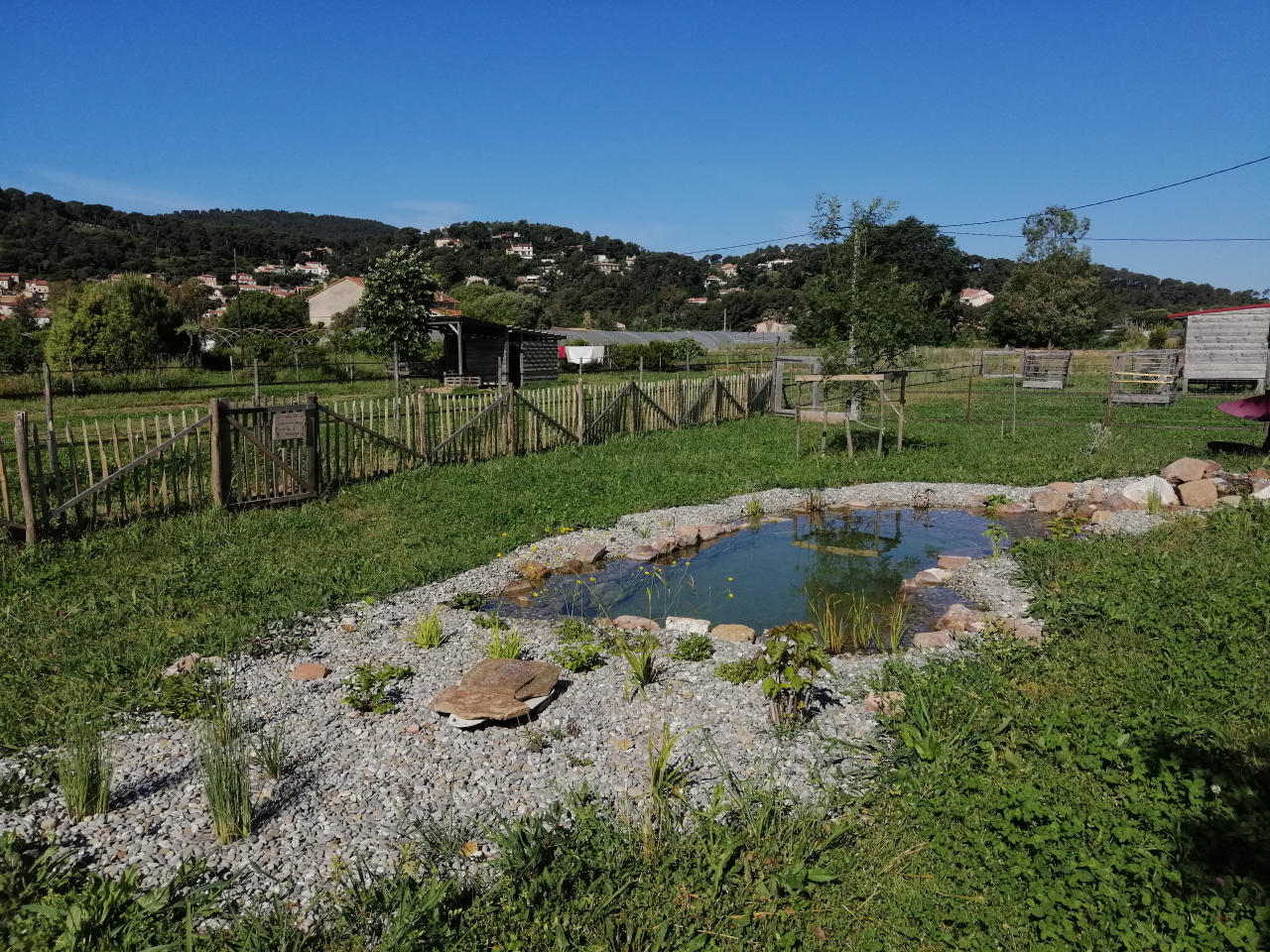 Une mare de biodiversité